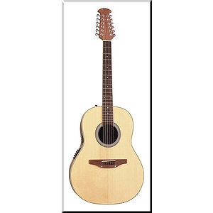 Applause Roundback 12-string Acoustic/Electric Guitar - Natural finish