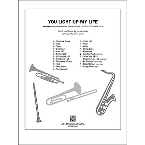 You Light Up My Life