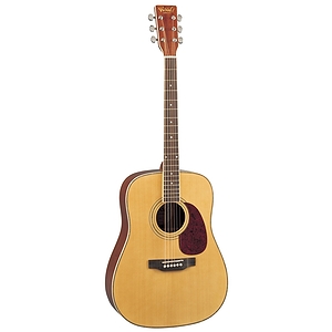Woods Deluxe Solid Top Dreadnought Guitar
