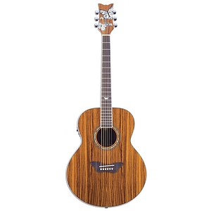 Daisy Rock Butterfly Jumbo Acoustic-Electric Guitar - Zebra Butterfly