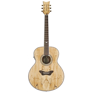 Daisy Rock Butterfly Jumbo Acoustic-Electric Guitar - Spalted Maple