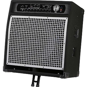 SWR® WorkingPro™ 15 200W Bass Combo Amp