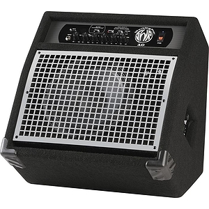 SWR® WorkingPro™ 10 Bass Combo Amplifier - 1x10, 100 watts