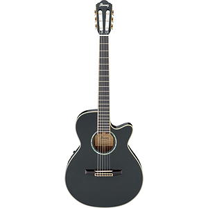 Ibanez AEG10NE Nylon-string Classical Acoustic-Electric Guitar - Black