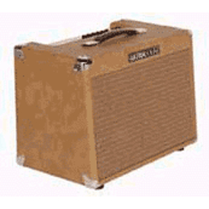 Ultrasound 30-watt Acoustic Amplifier