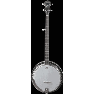 Washburn B9 5-string Banjo
