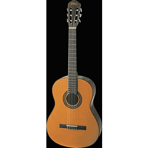 Washburn C40 Cadiz Classical Nylon-String Guitar
