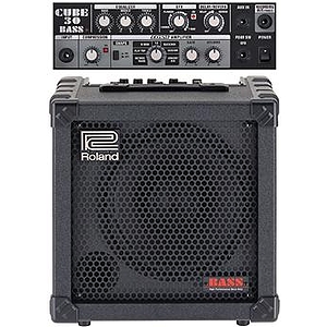 Roland Cube-30 Bass 30-watt Bass Combo Amp