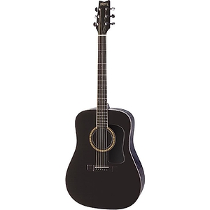 Washburn D10S Dreadnought Acoustic - Black - with hardshell case