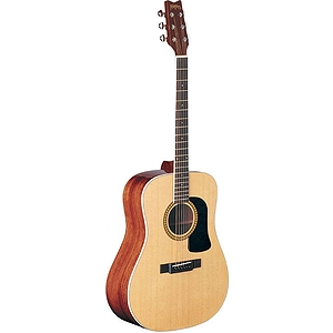 Washburn D10S Dreadnought Acoustic - Natural - with hardshell case