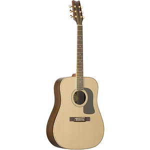 Washburn D10SDL Deluxe Solid-top Dreadnought Acoustic Guitar - with hardshell case