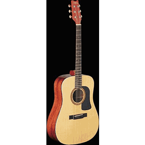 Washburn D10S Dreadnought Acoustic - Left-handed Version - with hardshell case