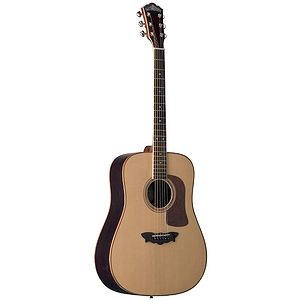 Washburn Timber Craft D56SW Acoustic Dreadnought Guitar - w/Case