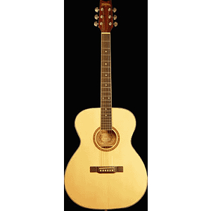 Washburn F10S Folk-style Acoustic Guitar - Natural