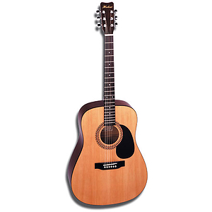 Hohner HW220 Dreadnought Acoustic Guitar