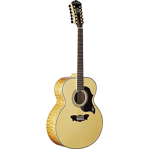 Washburn Cumberland J28S12DL 12-string Acoustic Jumbo Guitar - w/Case