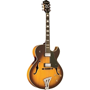 Washburn J3 Hollow-body Electric Guitar - Tobacco Sunburst - with case