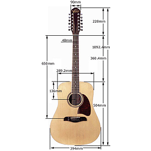 Oscar Schmidt 12-string Acoustic Guitar