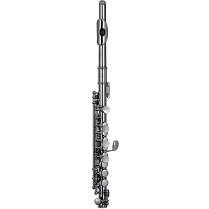 RS Berkeley P101 Elite Series Piccolo in the Key of C