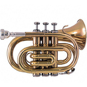 RS Berkeley PT624 Elite Series Pocket Trumpet