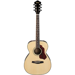 Ibanez SGT110NT Steel-string Acoustic Guitar - Natural