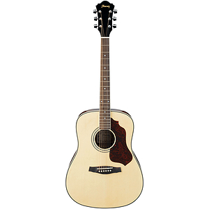 Ibanez SGT120 NT Steel-string Acoustic Guitar - Natural
