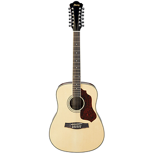 Ibanez SGT122NT 12-string Acoustic Guitar - Natural