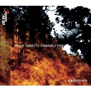 Sony Loops: Steve Tibbetts, Friendly Fire