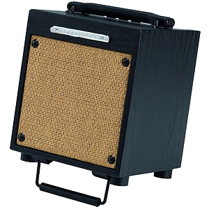 Ibanez T10 Troubador Series 10-watt Acoustic Guitar Amplifier