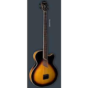 Washburn AB40 Acoustic-Electric Bass Guitar - with gig bag