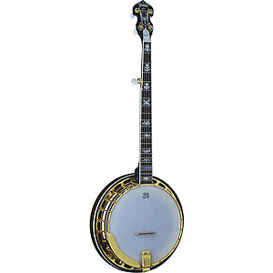 Washburn B17 5-string Banjo - with Hardshell Case
