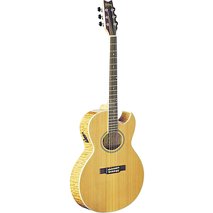 Washburn EA20SDL Deluxe Festival Series Acoustic-Electric Guitar w/Case
