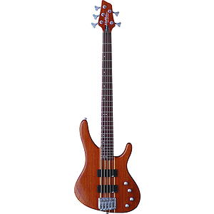 Washburn FORCE5 5-string Electric Bass Guitar - with Gig Bag