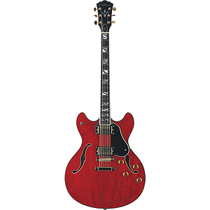 Washburn HB35 Hollow-body Electric Guitar - Wine Red - with case