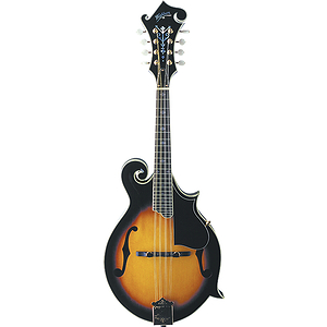 Washburn M3SW Florentine-style Solid-top Mandolin - Sunburst - with case
