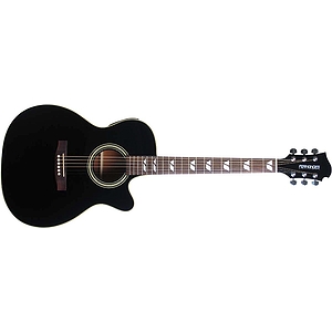 Fernandes Palisade D-16C Acoustic Guitar - Black