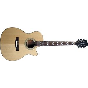 Fernandes Palisade D-16C Acoustic Guitar - Natural