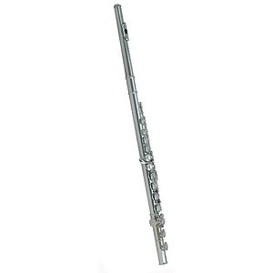 Roy Benson Flute Outfit