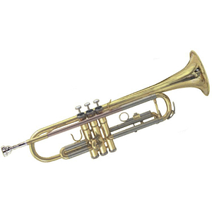 Roy Benson Deluxe Trumpet Outfit