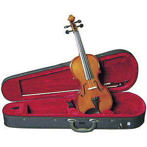 Musino 3000 Intermediate Series Violin Outfit, 1/2 Size
