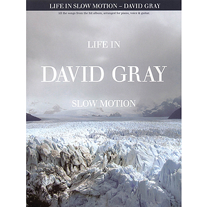 David Gray - Life in Slow Motion