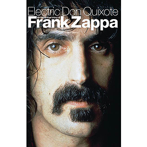 Electric Don Quixote