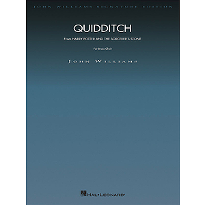 Quidditch (from Harry Potter and the Sorceror's Stone)