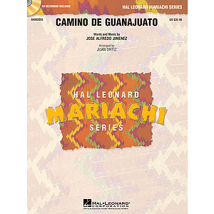 Camino De Guanajuato