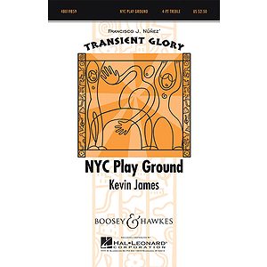 NYC Play Ground