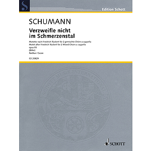 Verzweifle nicht im Schmerzenstal, Op. 93