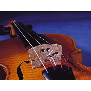 L.R. Baggs LR-VIO Violin Pickup