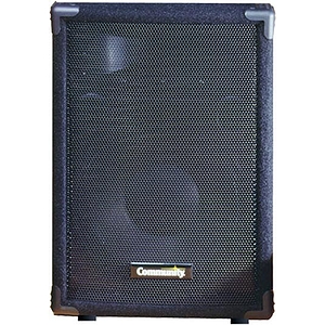 Community MVP12 2-way 12-inch Loudspeaker