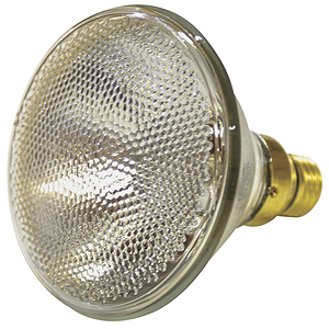 PAR38 Replacement Lamp - 120V, 90W