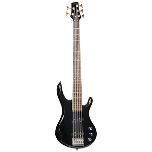 Arbor 5-string Bass Guitar - Black